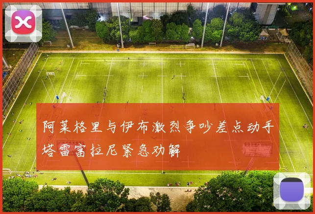 阿莱格里与伊布激烈争吵差点动手塔雷富拉尼紧急劝解