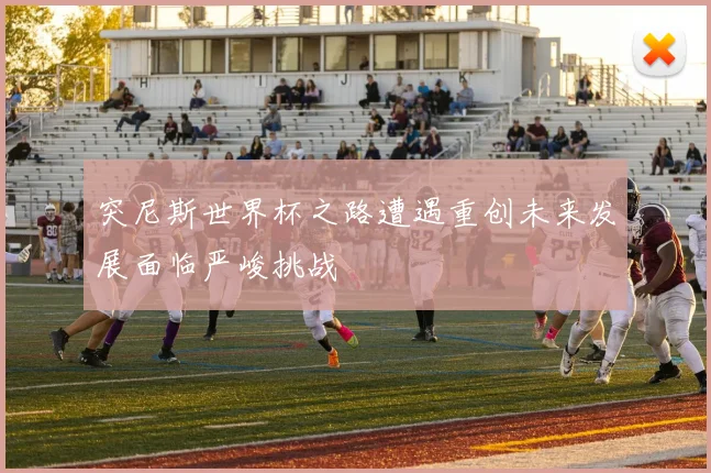 突尼斯世界杯之路遭遇重创未来发展面临严峻挑战